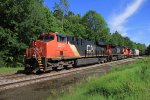 CN 2873
